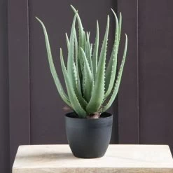 Dunelm Artificial Aloe Vera Plant