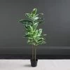 Dunelm Artificial Variagated Triple Stem Rubber Tree 97cm
