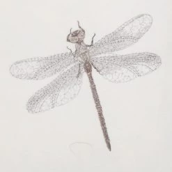 Dunelm Dragonfly Piped Cushion -Decorative Discount Store 30726226 alt03