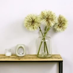 Dunelm Cream Hakea Spray 3 Pack