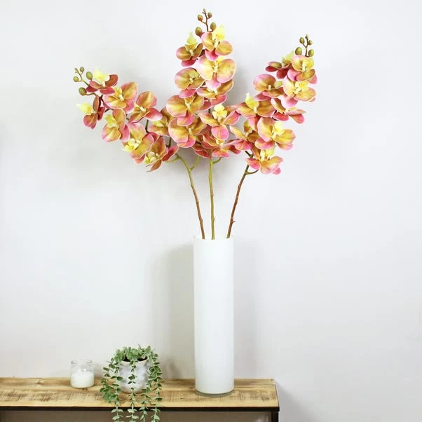 Dunelm Peach Real Touch Phalaenopsis 3 Pack 1 Dunelm Peach Real Touch Phalaenopsis 3 Pack