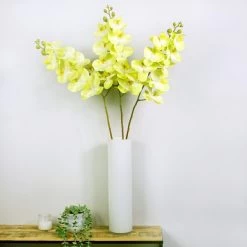 Dunelm Green Real Touch Phalaenopsis 3 Pack