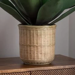 Dunelm Agave In Bamboo Basket -Decorative Discount Store 30726492 alt02