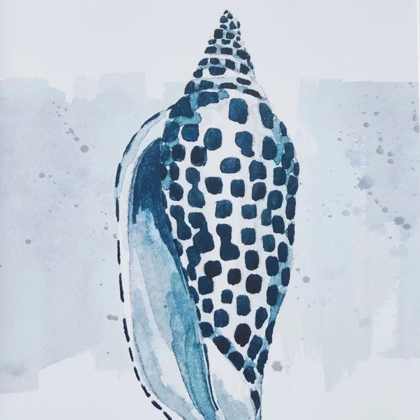 Dunelm Shell Framed Print 3 Dunelm Shell Framed Print - Image 3