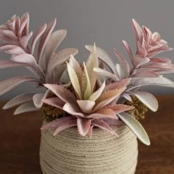 Dunelm Churchgate Artificial Flocked Succulent Garden -Decorative Discount Store 30730202 alt01