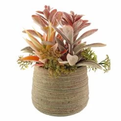 Dunelm Churchgate Artificial Flocked Succulent Garden -Decorative Discount Store 30730202 alt03
