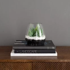 Dunelm Coastal Artificial Succulents In Glass Vase