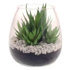 Dunelm Coastal Artificial Succulents In Glass Vase -Decorative Discount Store 30730204 alt03