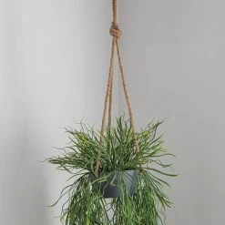 Dunelm Artificial Trailing Grass In Hanging Grey Pot 7 Dunelm Artificial Trailing Grass In Hanging Grey Pot -Decorative Discount Store 30730206 alt02