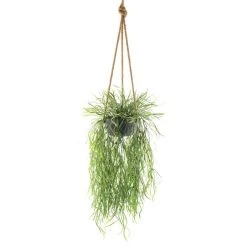 Dunelm Artificial Trailing Grass In Hanging Grey Pot 9 Dunelm Artificial Trailing Grass In Hanging Grey Pot -Decorative Discount Store 30730206 alt04
