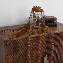 Dunelm Artificial Trailing Eucalyptus Vine -Decorative Discount Store 30730229 alt02