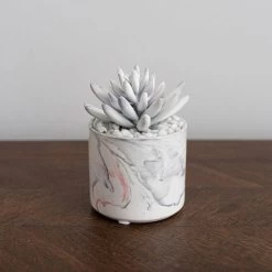 Dunelm Artificial Succulent In Pink/Grey Marble Effect Pot 6 Dunelm Artificial Succulent In Pink/Grey Marble Effect Pot -Decorative Discount Store 30730247 alt02