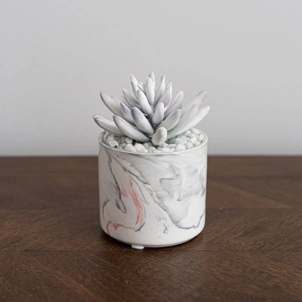 Dunelm Artificial Succulent In Pink/Grey Marble Effect Pot 3 Dunelm Artificial Succulent In Pink/Grey Marble Effect Pot - Image 3