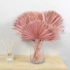 Dunelm Dried Pink Sun Spear Bundle