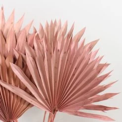 Dunelm Dried Pink Sun Spear Bundle -Decorative Discount Store 30730254 alt01