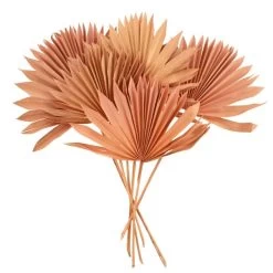 Dunelm Dried Pink Sun Spear Bundle -Decorative Discount Store 30730254 alt02