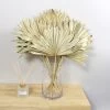Dunelm Dried Gold Sun Spear Bundle