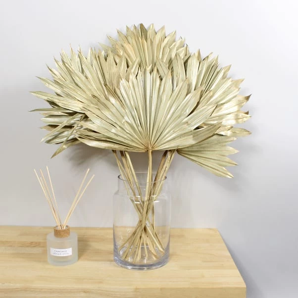 Dunelm Dried Gold Sun Spear Bundle 1 Dunelm Dried Gold Sun Spear Bundle