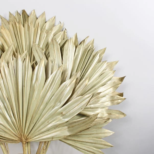 Dunelm Dried Gold Sun Spear Bundle 2 Dunelm Dried Gold Sun Spear Bundle - Image 2