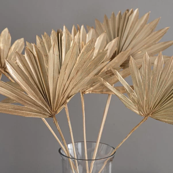 Dunelm Dried Gold Sun Spear Bundle 4 Dunelm Dried Gold Sun Spear Bundle - Image 4