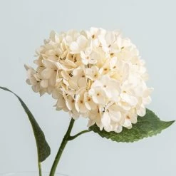 Dunelm Hydrangea Cream Stem -Decorative Discount Store 30730259 alt01