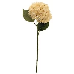 Dunelm Hydrangea Cream Stem -Decorative Discount Store 30730259 alt02