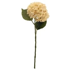 Dunelm Hydrangea Cream Stem -Decorative Discount Store 30730259 alt04