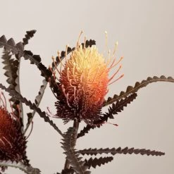 Dunelm Banksia Orange Spray -Decorative Discount Store 30730262 alt02