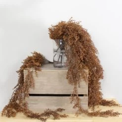 Dunelm Brown Vine Bush -Decorative Discount Store 30730266 alt03