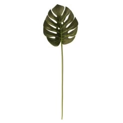 Dunelm Monstera Green Leaf Stem 5 Dunelm Monstera Green Leaf Stem -Decorative Discount Store 30730278 alt02