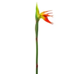 Dunelm Green Bird Of Paradise Stem -Decorative Discount Store 30730279 alt02