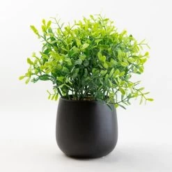 Dunelm Green Plant In A Black Pot