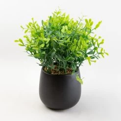 Dunelm Green Plant In A Black Pot -Decorative Discount Store 30732403 alt02
