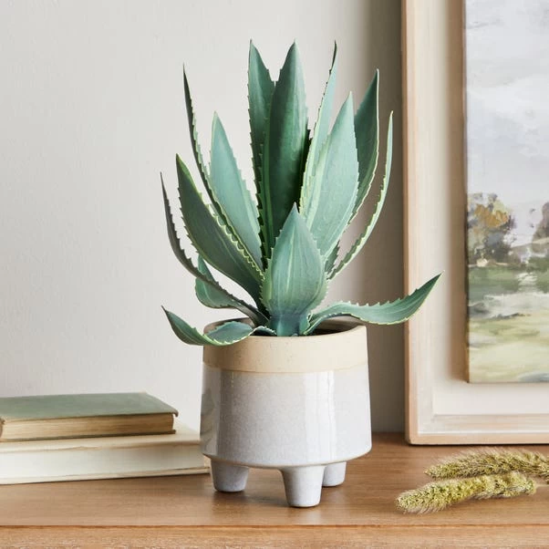 Dunelm Coastal Aloe Vera In Ceramic Pot 1 Dunelm Coastal Aloe Vera In Ceramic Pot