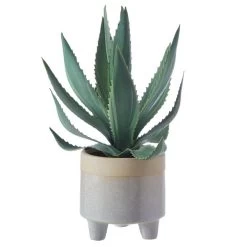 Dunelm Coastal Aloe Vera In Ceramic Pot 5 Dunelm Coastal Aloe Vera In Ceramic Pot -Decorative Discount Store 30732424 alt02