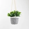 Dunelm Hanging Plant In Cement Pot