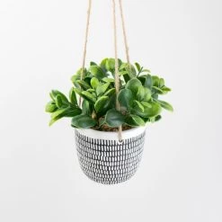 Dunelm Hanging Plant In Cement Pot -Decorative Discount Store 30732439 alt01