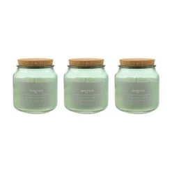 Dunelm Pack Of 3 Seagrass Jar Candles With Cork Lid