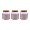 Dunelm Pack Of 3 Lavender Jar Candles With Cork Lid