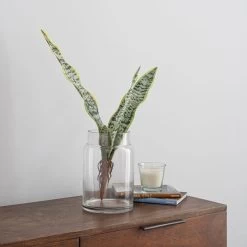 Dunelm Artificial Sansevieria Green Single Stem