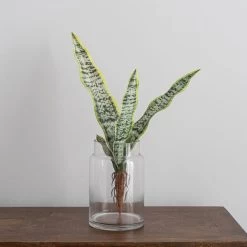Dunelm Artificial Sansevieria Green Single Stem -Decorative Discount Store 30734540 alt02