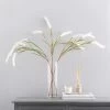 Dunelm Foxtail Grass Cream 90cm