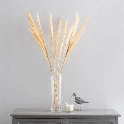 Dunelm Dried Broom Grass Bleached 100cm