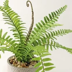 Dunelm Artificial Fern In Grey Zig Zag Pot 3 Dunelm Artificial Fern In Grey Zig Zag Pot -Decorative Discount Store 30736111 alt01