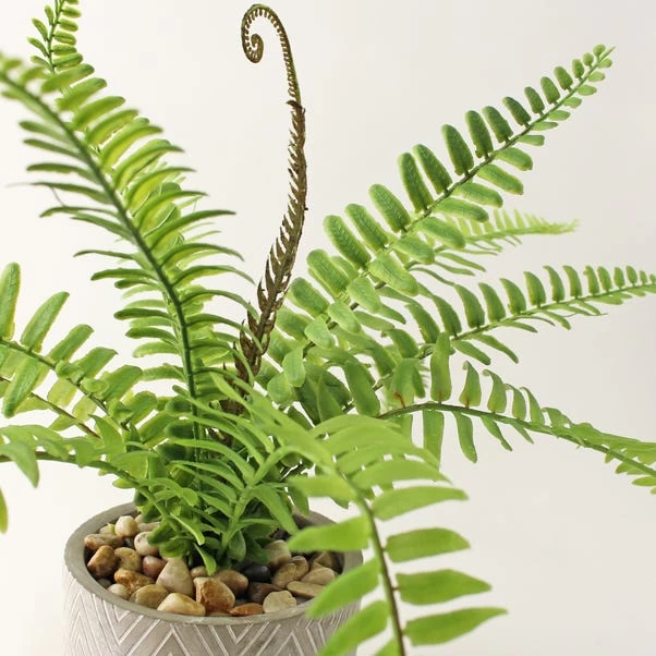Dunelm Artificial Fern In Grey Zig Zag Pot 2 Dunelm Artificial Fern In Grey Zig Zag Pot - Image 2