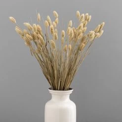 Dunelm Natural Dried Phalaris Bundle -Decorative Discount Store 30747114 alt03