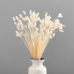 Dunelm Dried Bleached Phalaris Bundle -Decorative Discount Store 30747115 alt03
