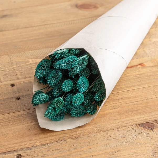 Dunelm Teal Dried Phalaris Bundle 2 Dunelm Teal Dried Phalaris Bundle - Image 2