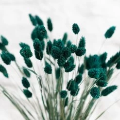 Dunelm Teal Dried Phalaris Bundle 7 Dunelm Teal Dried Phalaris Bundle -Decorative Discount Store 30747116 alt02