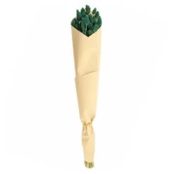 Dunelm Teal Dried Phalaris Bundle 9 Dunelm Teal Dried Phalaris Bundle -Decorative Discount Store 30747116 alt04